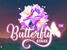 Butterfly Staxx