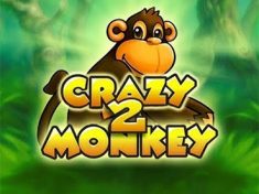 Crazy Monkey 2